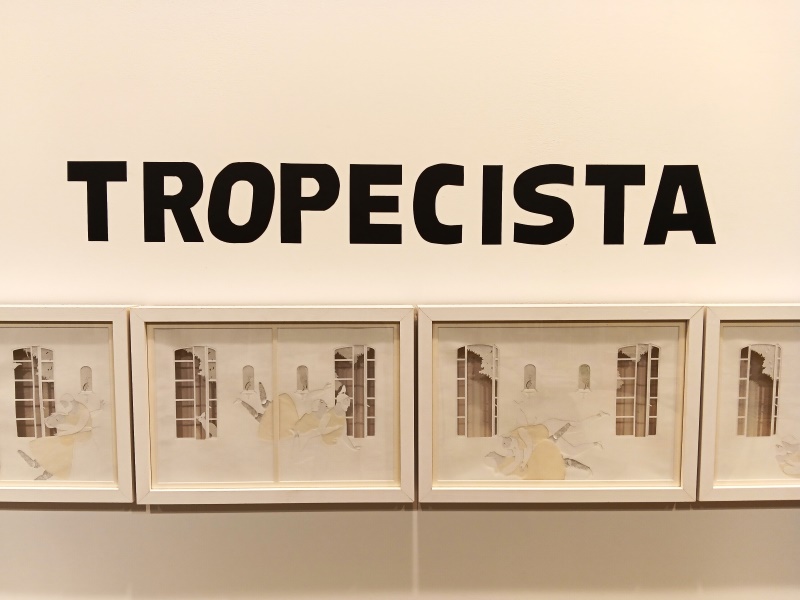 Exposició d’il·lustracions d’Elena Odriozola